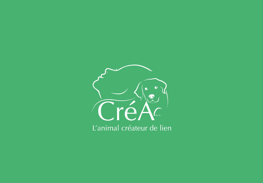 Créa, l'animal créateur de liens