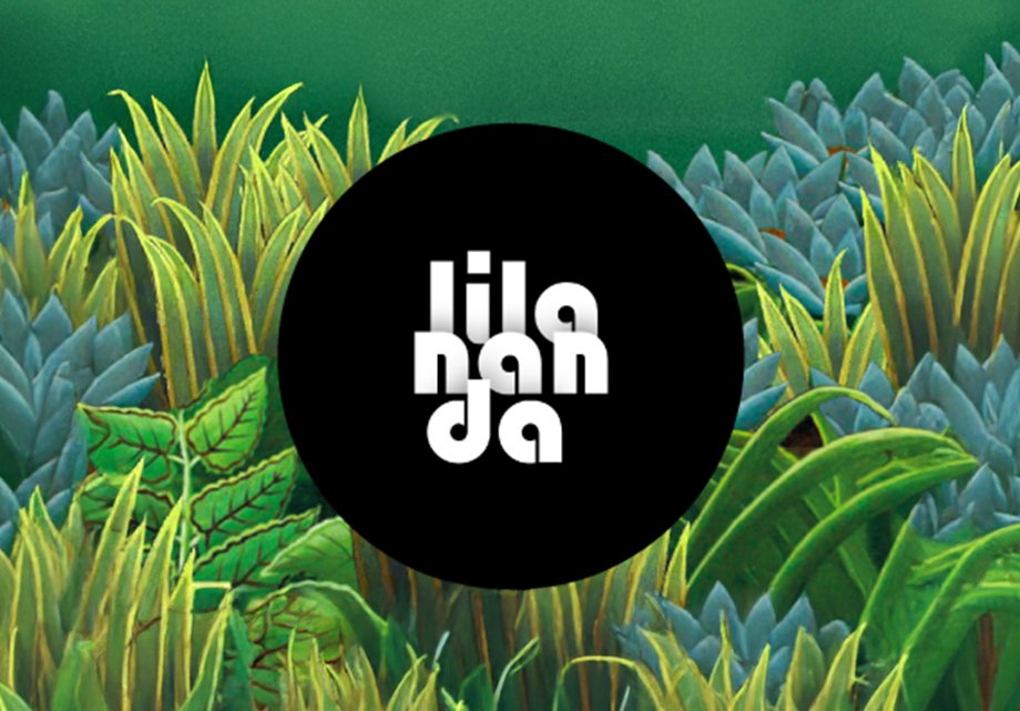 Lilananda site et réseaux sociaux